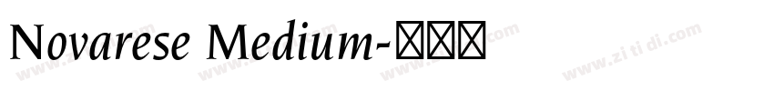Novarese Medium字体转换